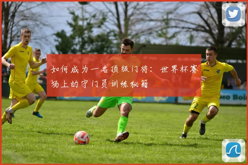 如何成为一名顶级门将：世界杯赛场上的守门员训练秘籍