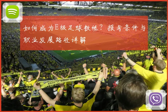 如何成为E级足球教练？报考条件与职业发展路径详解