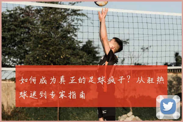 如何成为真正的足球疯子？从狂热球迷到专家指南